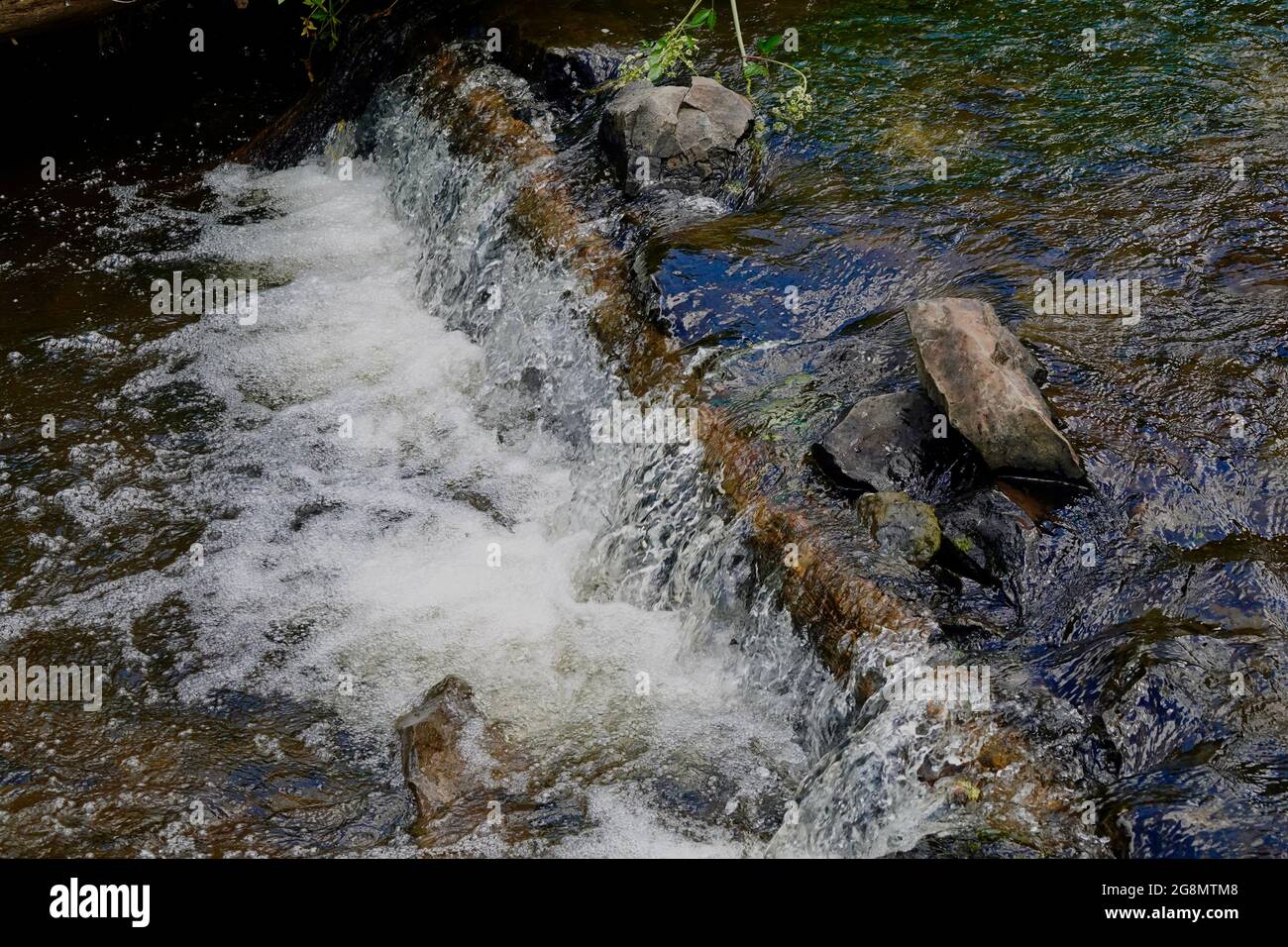 Ein winziger Wasserfall über einem gefallenen Ast an einem Bach im Wald. Stockfoto