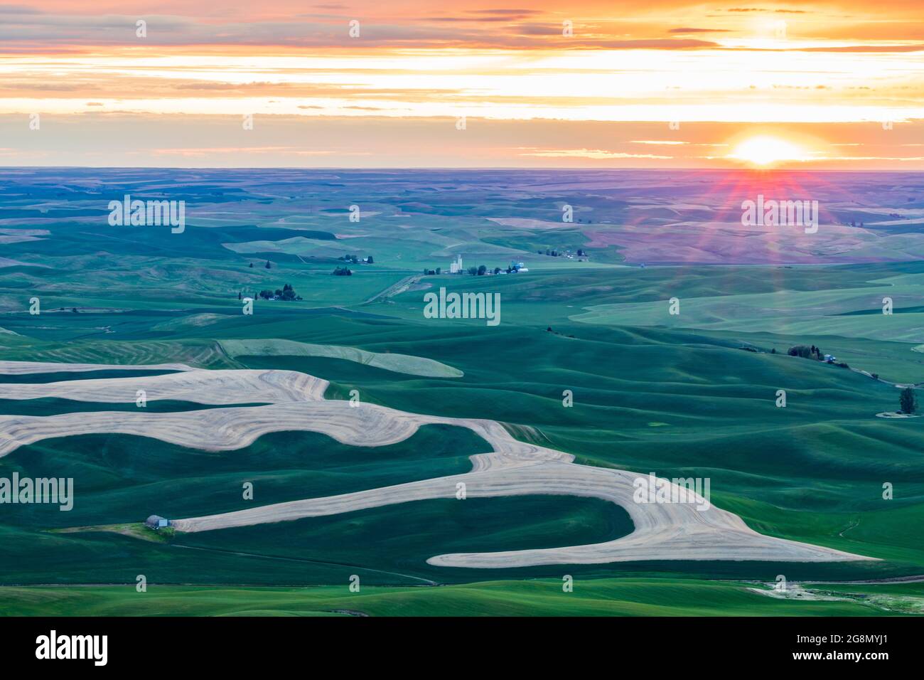 Steptoe Butte State Park, Washington, USA. Blick auf die Weizenfelder bei Sonnenuntergang in den sanften Hügeln von Palouse. Stockfoto