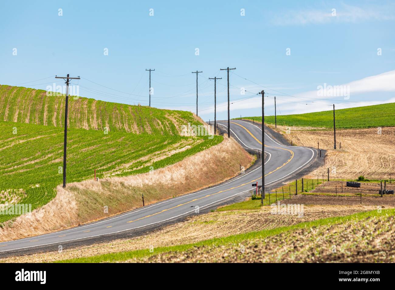 Colfax, Washington, USA. Kurvenreiche Landstraße in den Palouse-Hügeln. Stockfoto