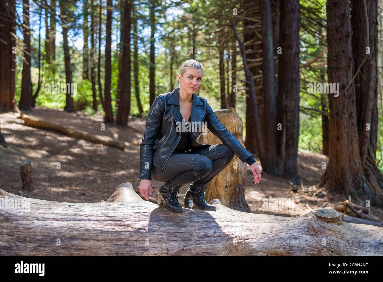 Junge Frau auf einem großen gefallenen Redwood-Baumstamm im Redwood-Hain Stockfoto