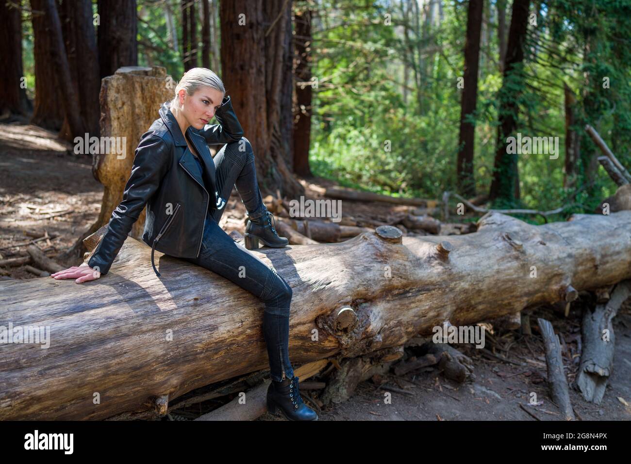 Junge Frau auf einem großen gefallenen Redwood-Baumstamm im Redwood-Hain Stockfoto