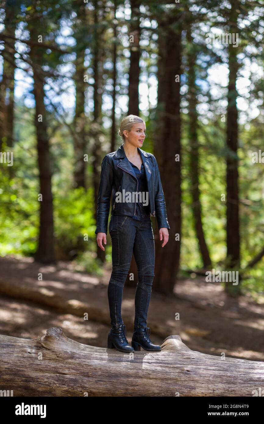 Junge Frau auf einem großen gefallenen Redwood-Baumstamm im Redwood-Hain Stockfoto