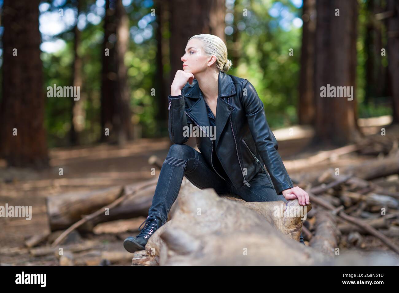 Junge Frau auf einem großen gefallenen Redwood-Baumstamm im Redwood-Hain Stockfoto