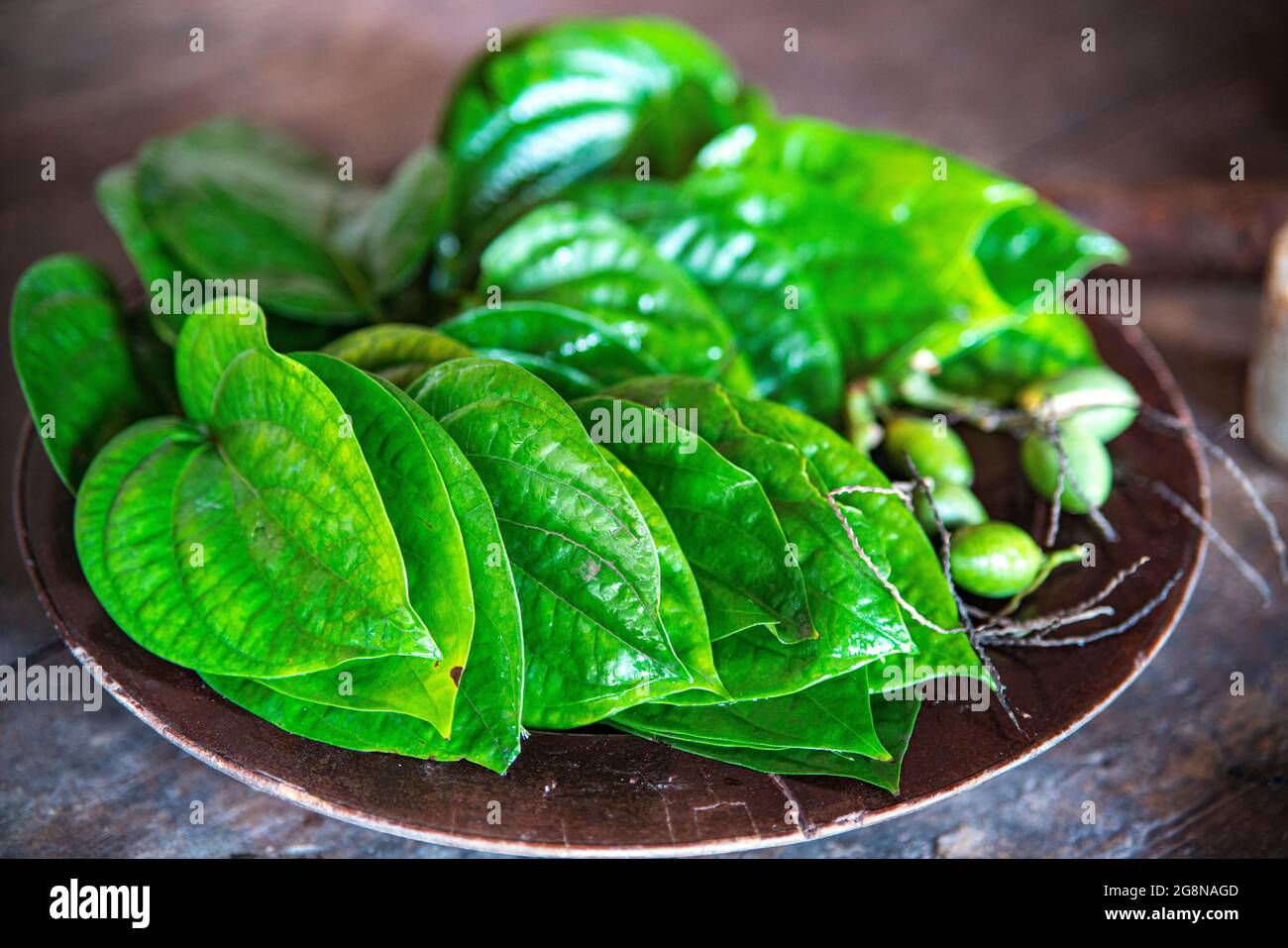 Betel und areca auf dem Tisch nordvietnam Stockfoto