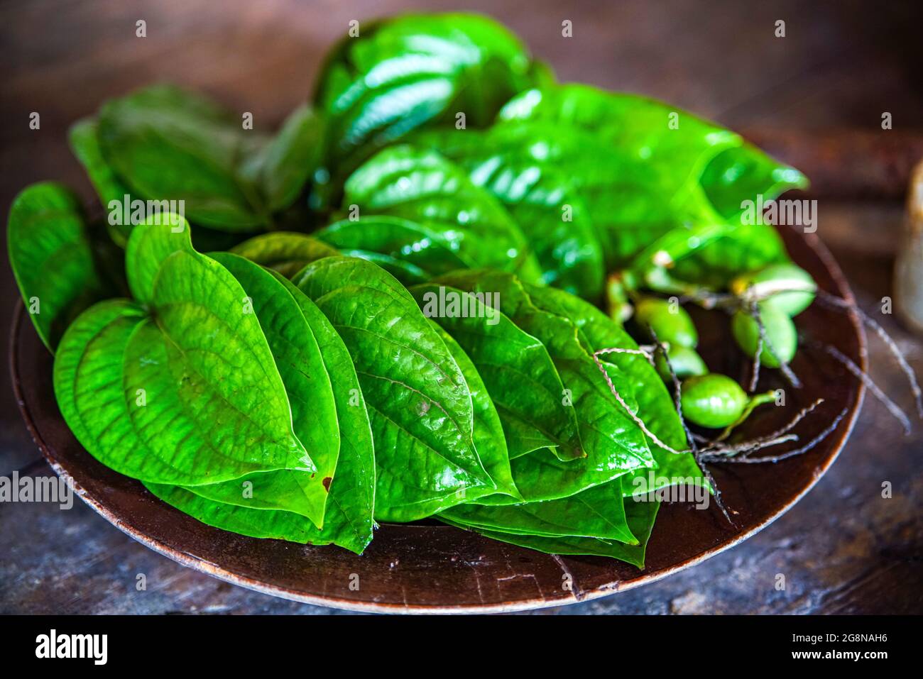 Betel und areca auf dem Tisch nordvietnam Stockfoto