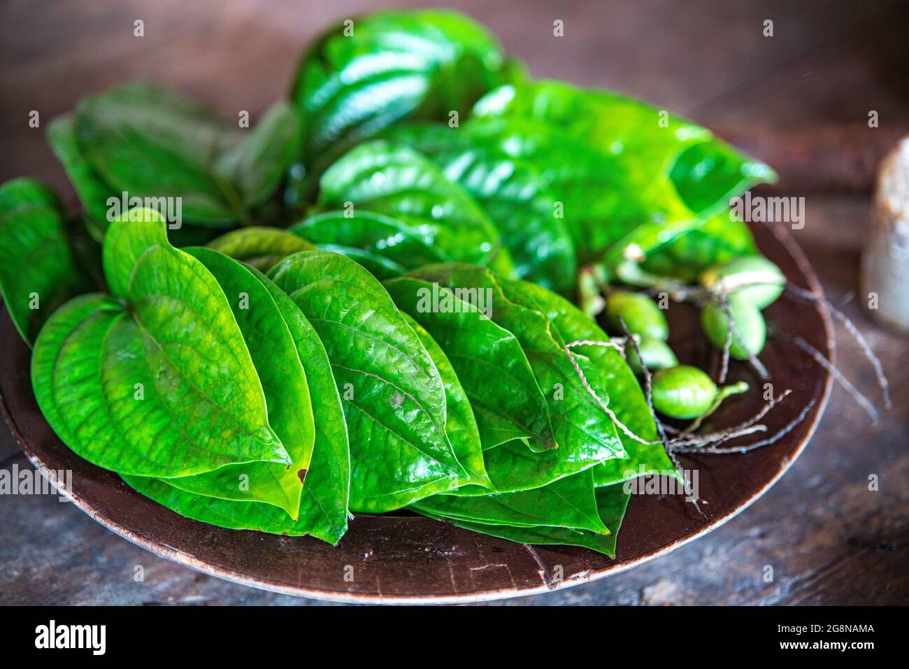 Betel und areca auf dem Tisch nordvietnam Stockfoto