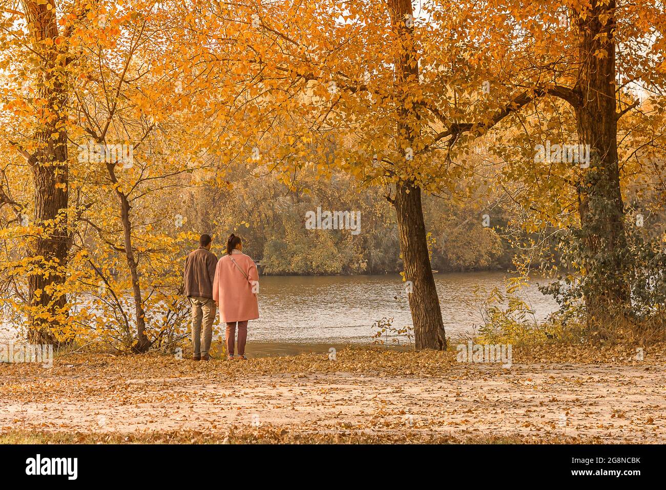 Die Rückansicht von Mann und Frau des Paares steht am Ufer des Sees im Herbstpark Stockfoto