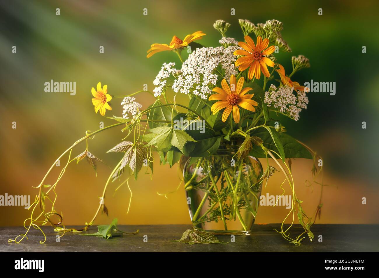 Leuchtend buntes Bouquet von Gartenblumen und Heilkräutern in den Strahlen der untergehenden Sonne Stockfoto