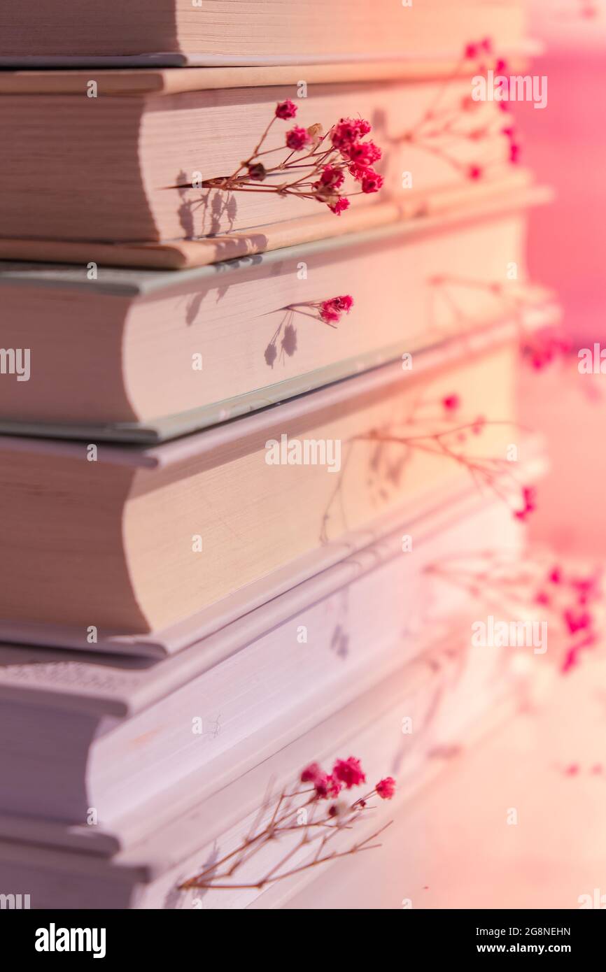 Stapel von alten Büchern mit Babys Atem Blumen. Gemütliches Lesen. Zarte rosa Gipsophila Blüten. Slow Living-Konzept. Einheit mit der Natur. Bildungslittera Stockfoto