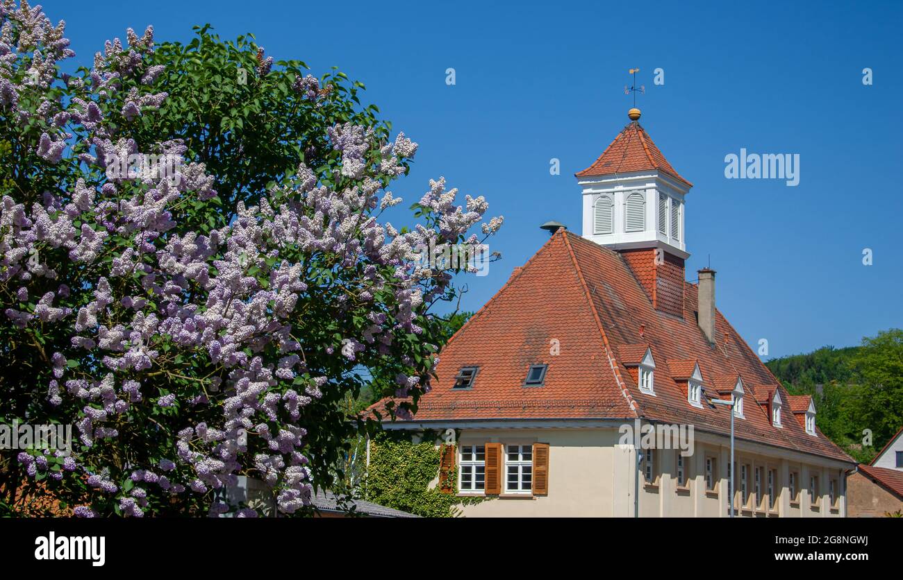 Altes Schulhaus, das heute als lokales Rathaus mit Fliederbusch (Syringa vulgaris) im Vordergrund in Waldhilsbach, einem kleinen Dorf in der Nähe von Heidelberg, genutzt wird Stockfoto