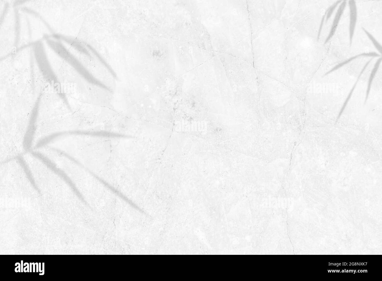 Schatten der Blätter Bambus auf weißem Marmor Wand Hintergrund. Kopieren Raum. Stockfoto