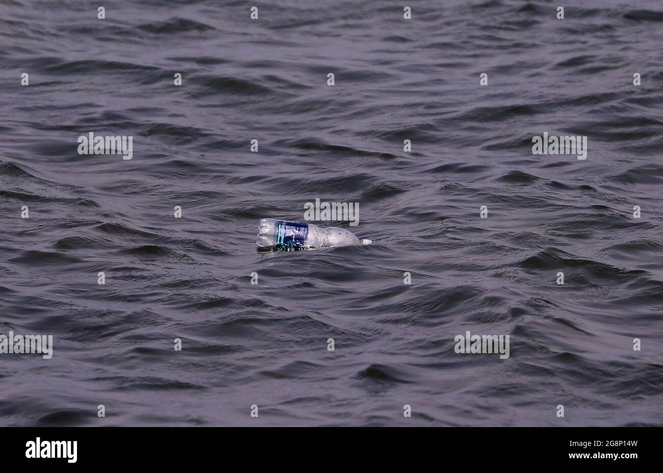 Eine Plastikflasche schwimmt im Meerwasser des Belfast Lough in Holywood, Co. Down, Nordirland. Stockfoto