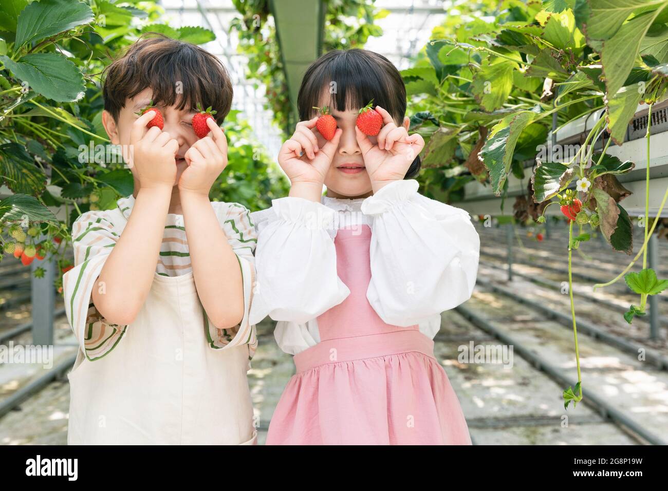 Happy Asian Junge und Mädchen in Erdbeerfarm, Lernen der Natur Stockfoto