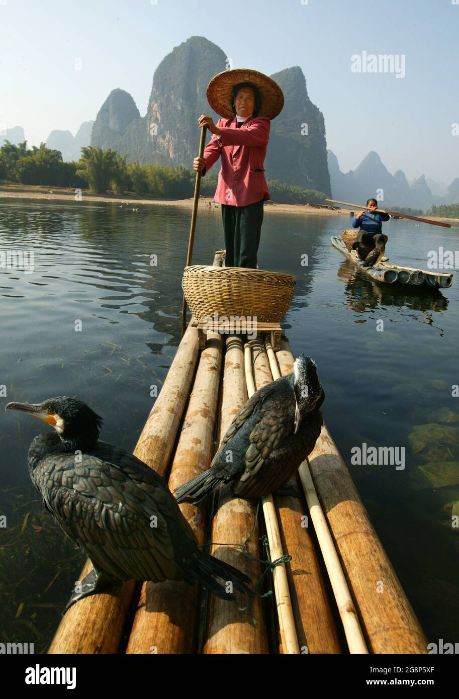 Die kormoranischen Fischerfrauen sind die Touristenattraktion am Fluss Li, Xingping, China, Ostasien Stockfoto