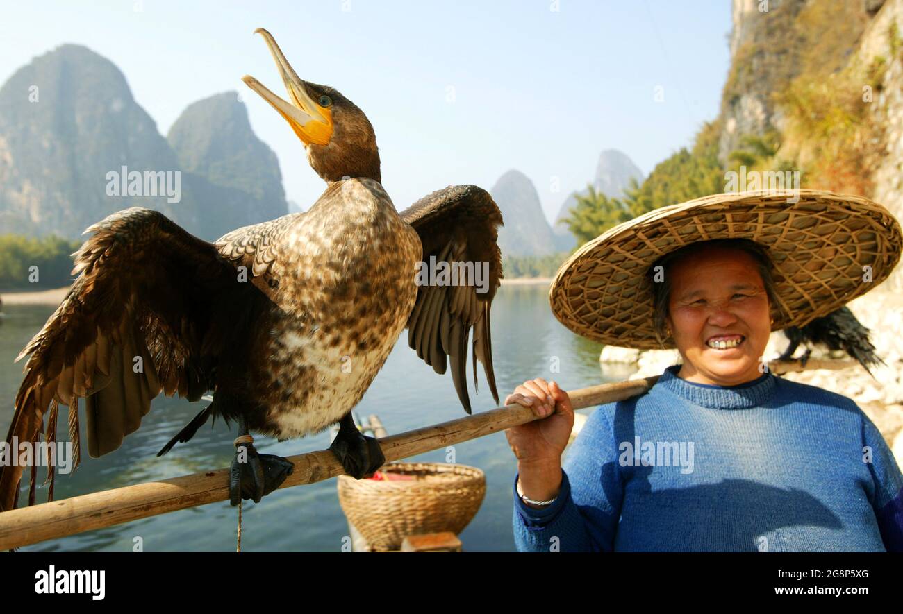 Die kormoranischen Fischerfrauen sind die Touristenattraktion am Fluss Li, Xingping, China, Ostasien Stockfoto