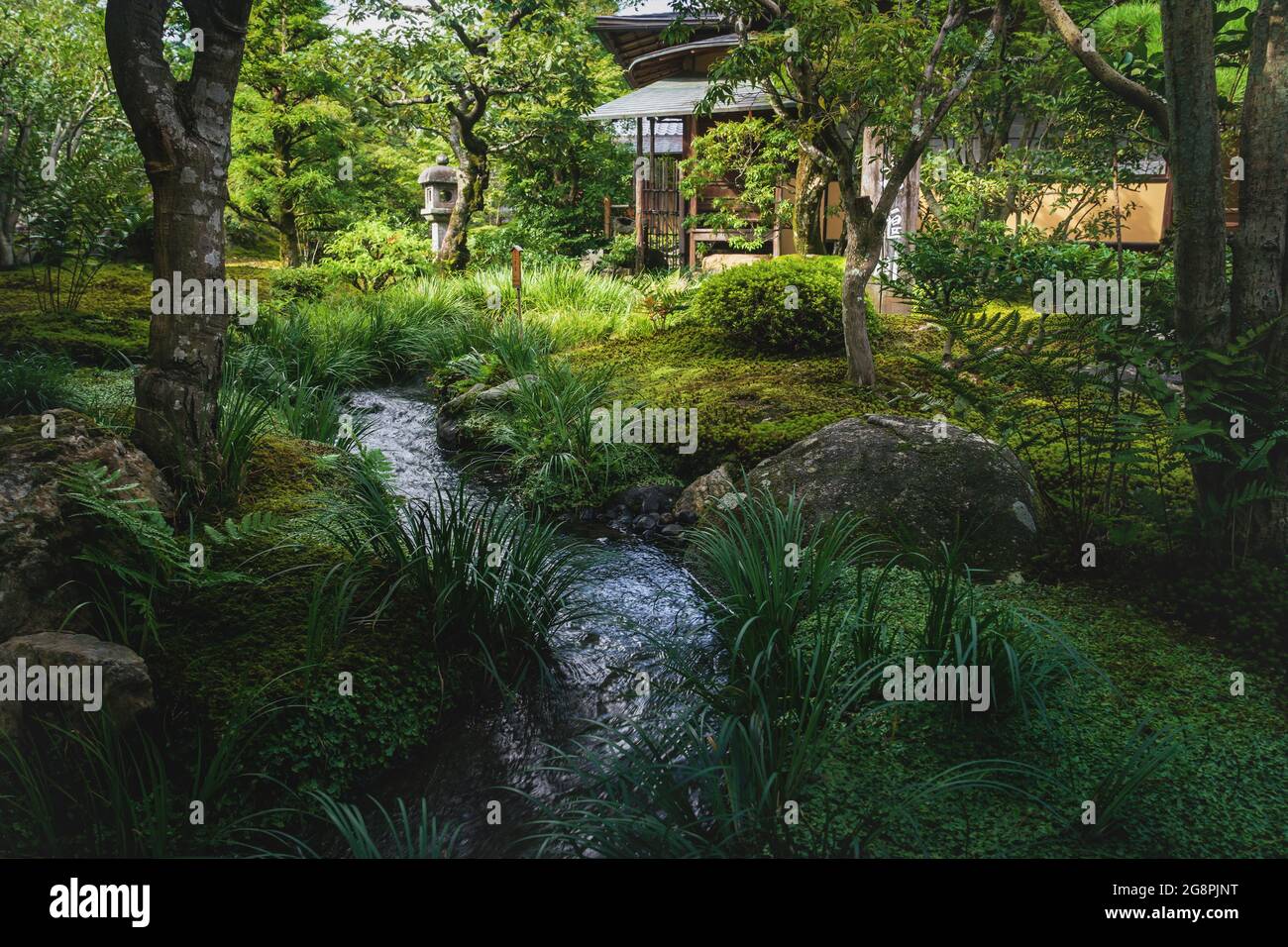 Kyoto, Japan - 18. September 2017: Natürlicher japanischer Zen-Garten Sogenchi mit Wasserbach, der in einer üppigen Wiese am Tempel Tenryu-ji fließt Stockfoto