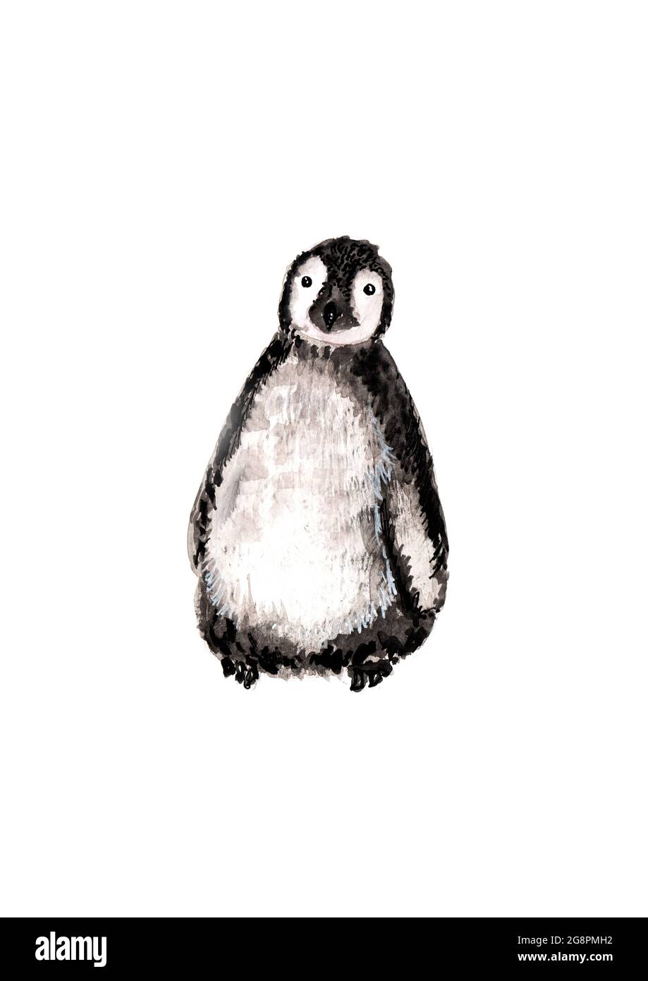 Abbildung eines Pinguins, handbemalt, auf weißem Hintergrund Stockfoto