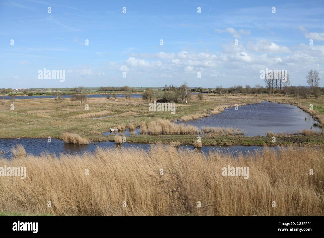 Salzwiesen der Somme-Bucht, St. Valery-sur-Somme, Hauts de france, Frankreich Stockfoto