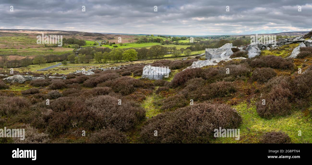 Moorlandschaft mit Gehwegen flankiert von Felsen, Heidekraut, Feldern und Bäumen unter bewölktem Himmel in North York Moors bei Goathland, Yorkshire, Großbritannien. Stockfoto