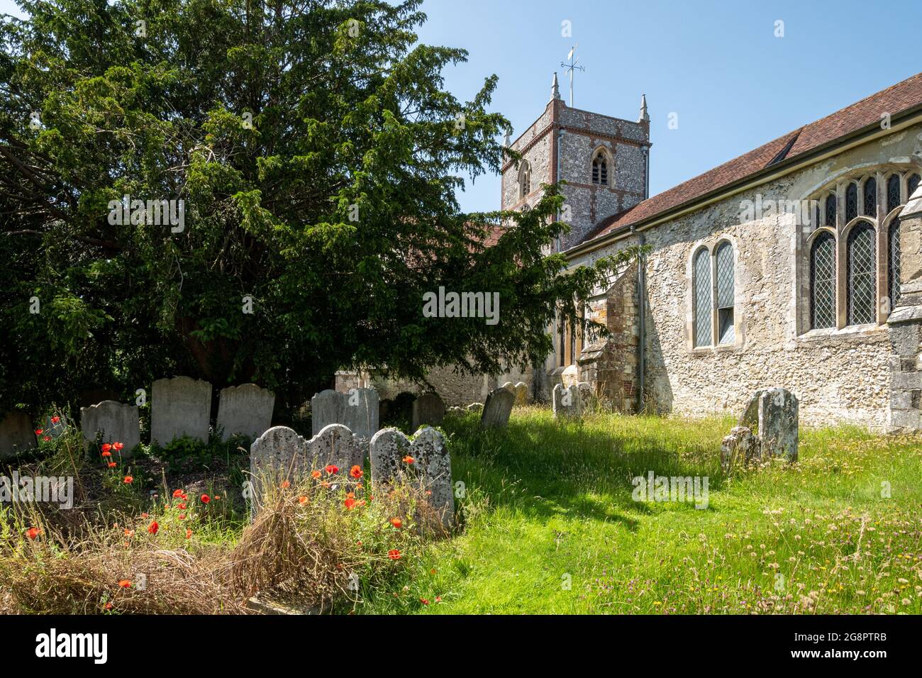 St. Peter's und St. Paul's Church in Hambledon, einem Dorf in Hampshire, England, im Sommer oder Juli Stockfoto