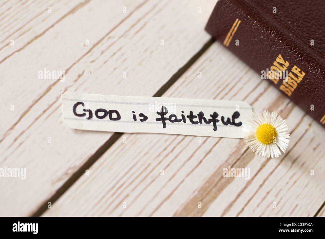 Gott ist treu. Biblisches Konzept über Treue, Liebe, Hoffnung, Wahrheit. Vertraut Jesus Christus