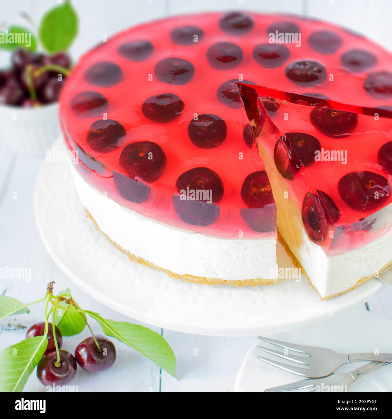 Käsekuchen mit weißer Schokolade und Kirschen. Hausgemachter Gelee-Kuchen mit frischem Obst. Stockfoto