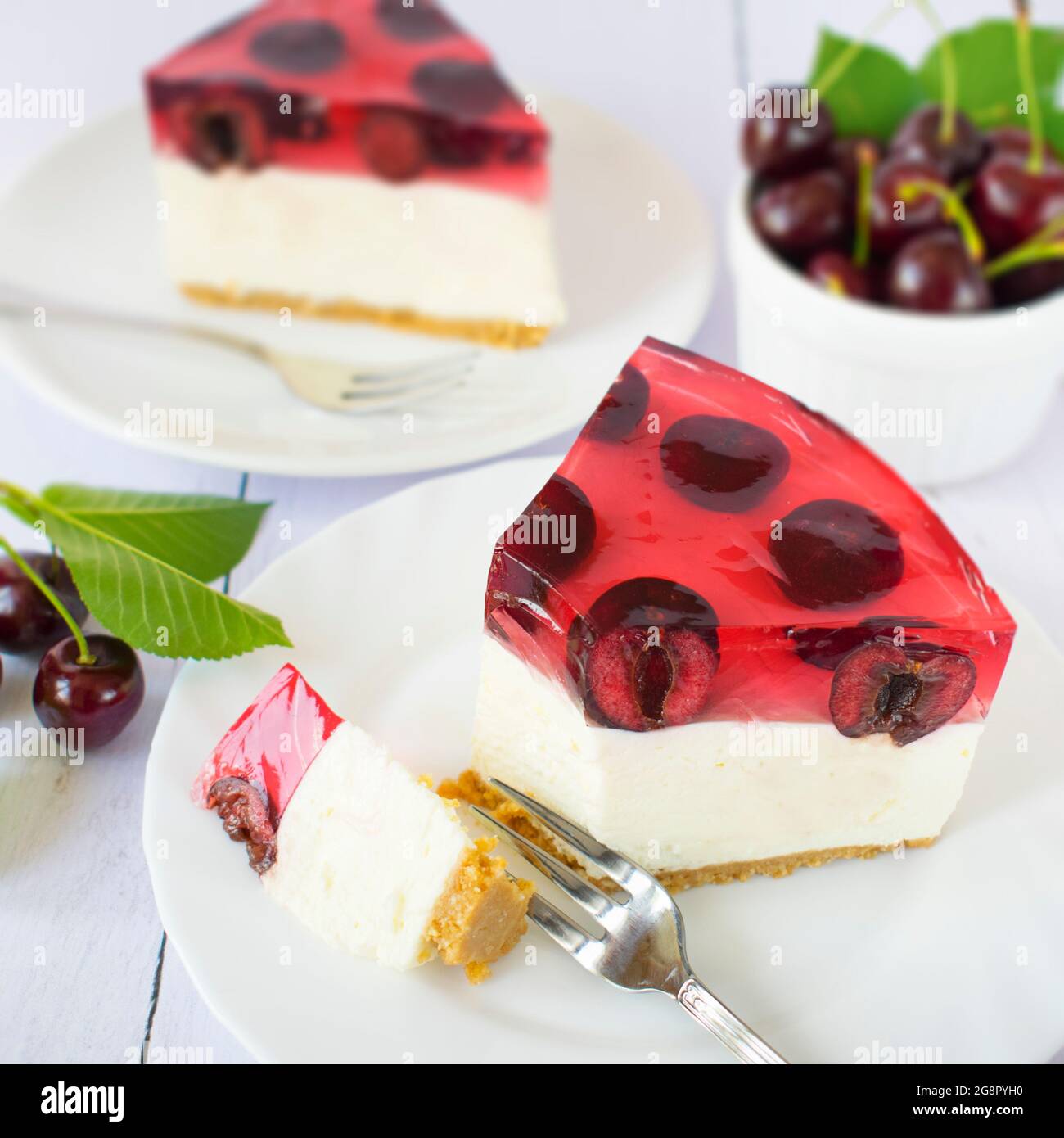 Käsekuchen mit weißer Schokolade und Kirschen. Hausgemachter Gelee-Kuchen mit frischem Obst. Stockfoto