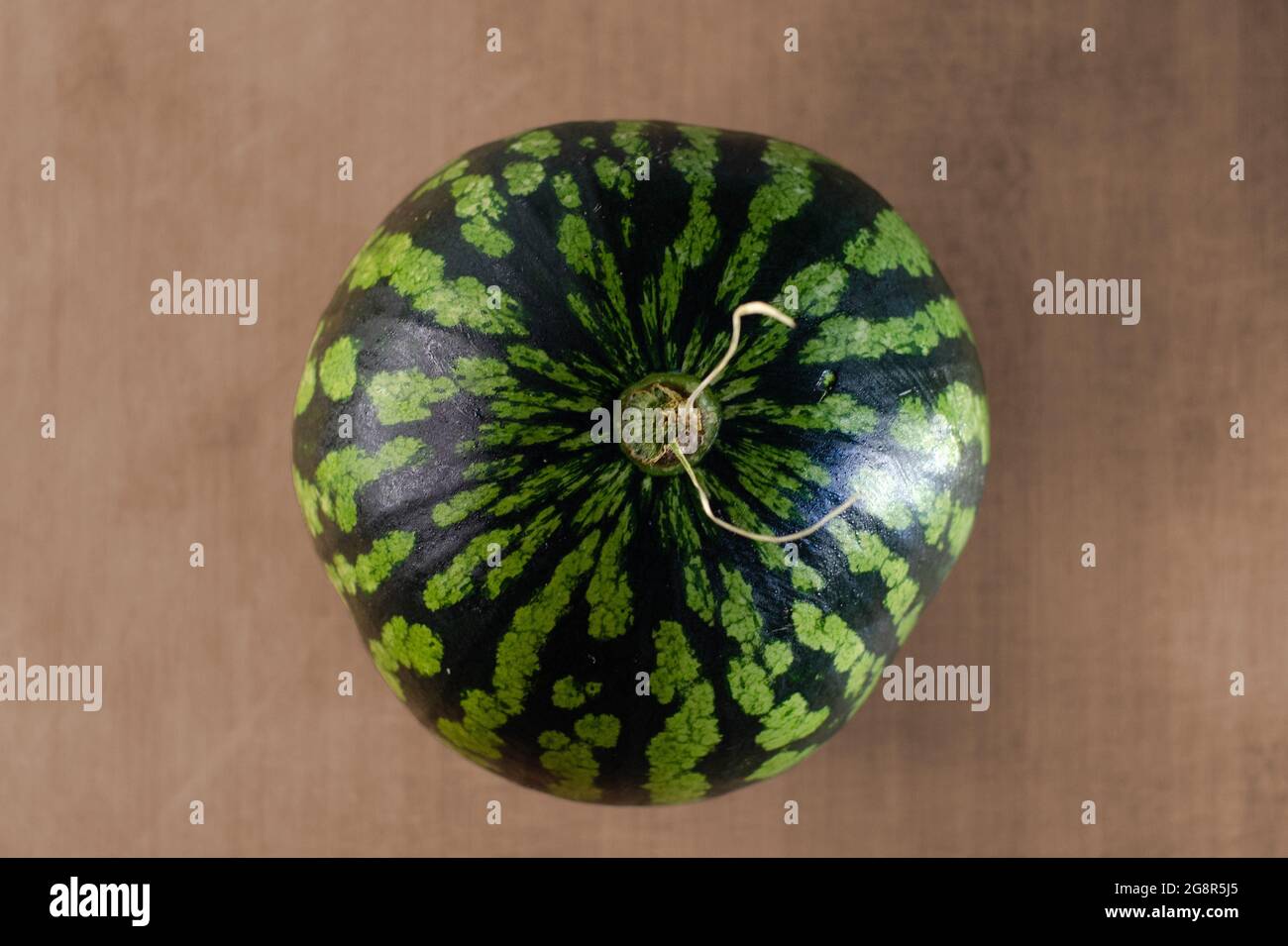 Eine frische, reife Wassermelone auf einem Holzbrett aus einem zenithalen Winkel. Konzept der Frucht für den Sommer essen Stockfoto