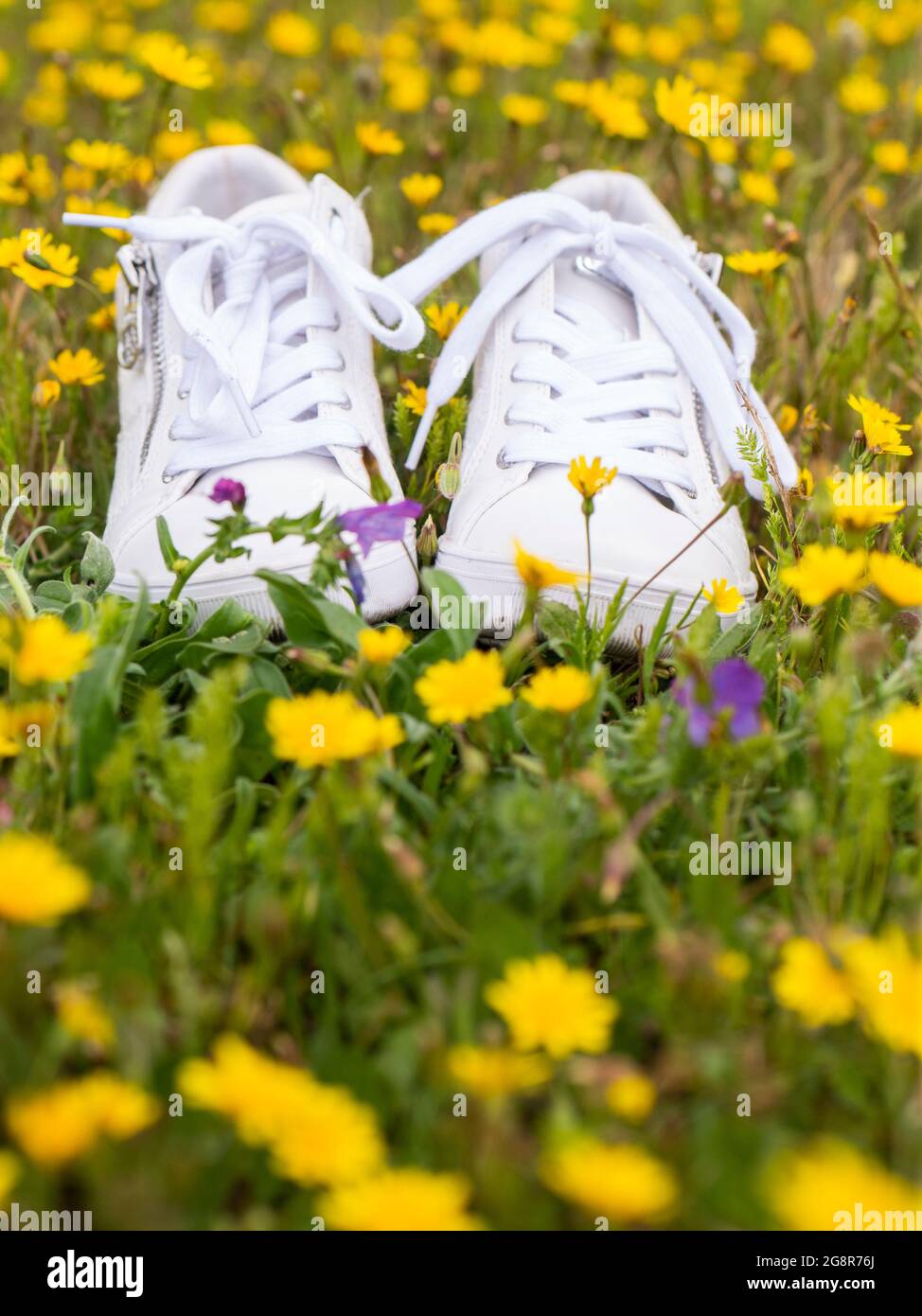 Saubere weiße Damenschuhe Sneaker auf einer Wiese mit Blumen Stockfoto