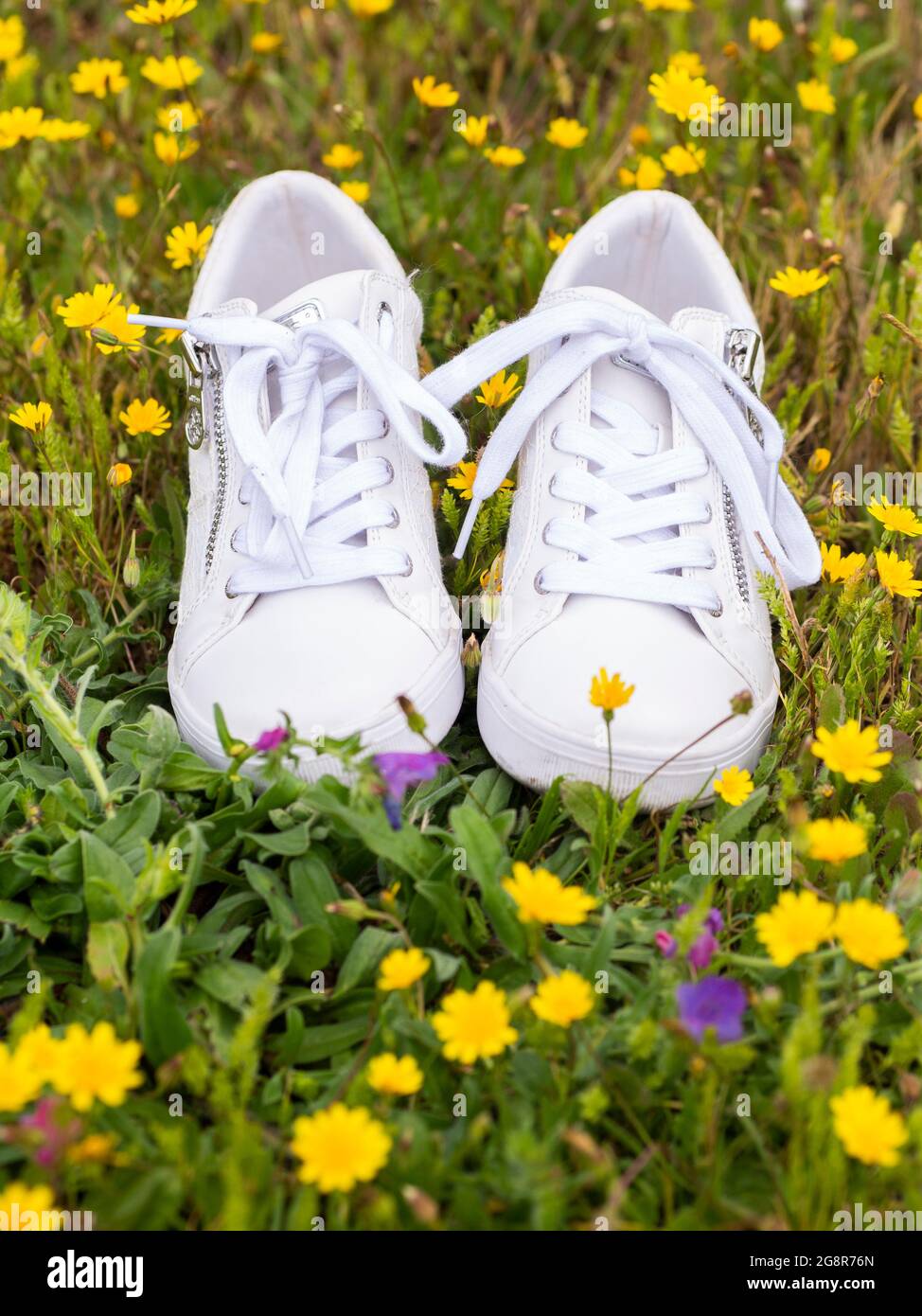 Saubere weiße Damenschuhe Sneaker auf einer Wiese mit Blumen  Stockfotografie - Alamy