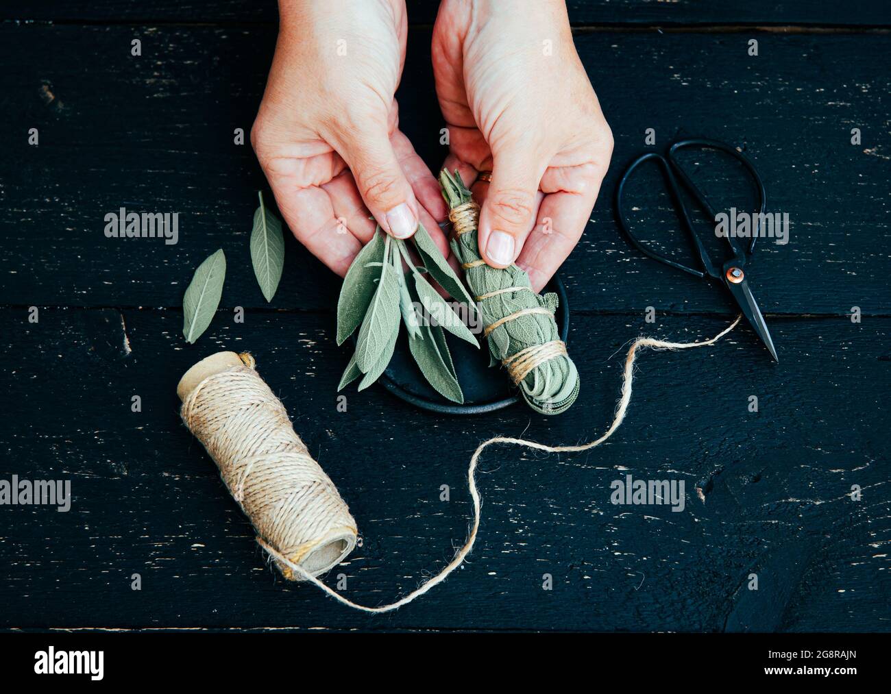 Person, die weißen Salbei Salvia apiana-Wischstock zu Hause mit hausgemachten Salbeiblättern macht. Baumwollstring und Vintage Schere zur Dekoration auf schwarz. Stockfoto