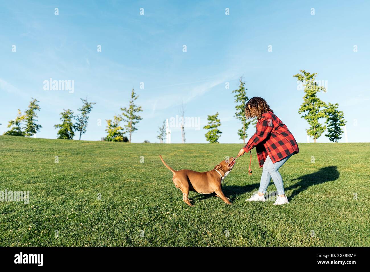 Unbekannte Frau, die mit ihrem reinrassigen Hund im Park spielt und Spaß hat. Stockfoto