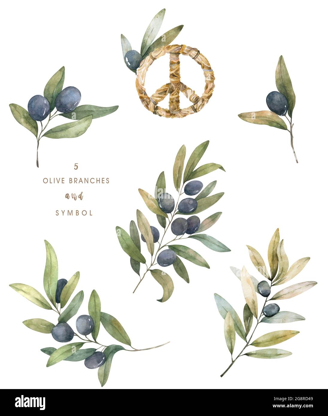 Rahmen mit Olivenzweig. Handgezeichnete Aquarell-Kreis-Rahmenillustration  mit Olivenbaum. Begrung, Einladungskarte Stockfotografie - Alamy
