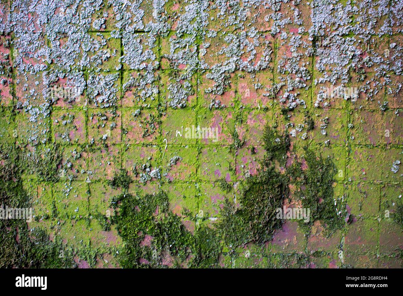 RUSSLAND, Wandpaneelhaus, mit kleinen Mosaikfliesen bedeckt.Versiegelung der Inter-Panel-Naht. Shabby Mosaikfliesen an der Fassade eines Hauses Stockfoto