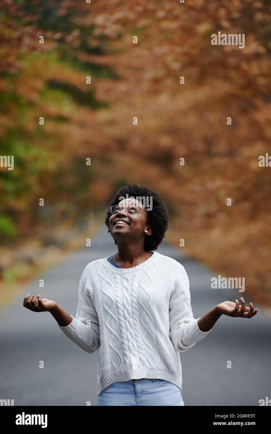 Hallo, Herbst Stockfoto