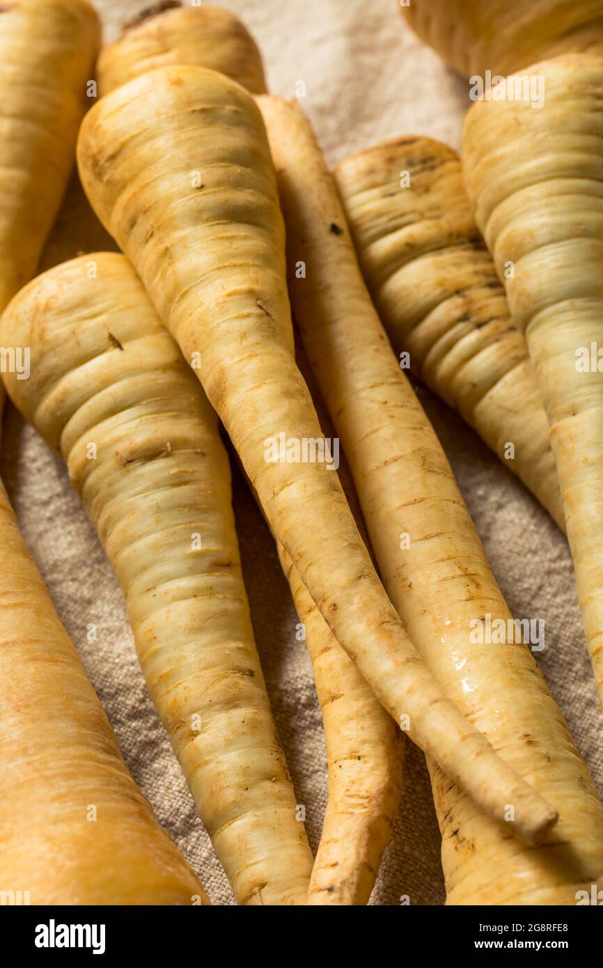 RAW White Organic Pastinken in einem Haufen Stockfoto