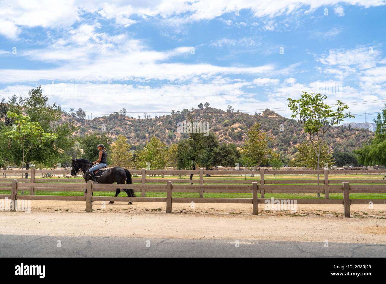 Reiten im Griffith Park in der Nähe des Equestrian Center in Burbank, CA Stockfoto