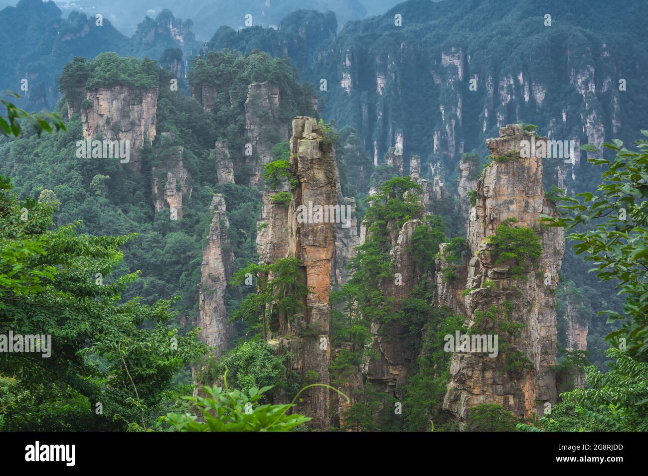 Atemberaubende Felspfeiler der Tianzi-Bergkette, Avatar Mountains Naturpark, Zhangjiajie, China Stockfoto