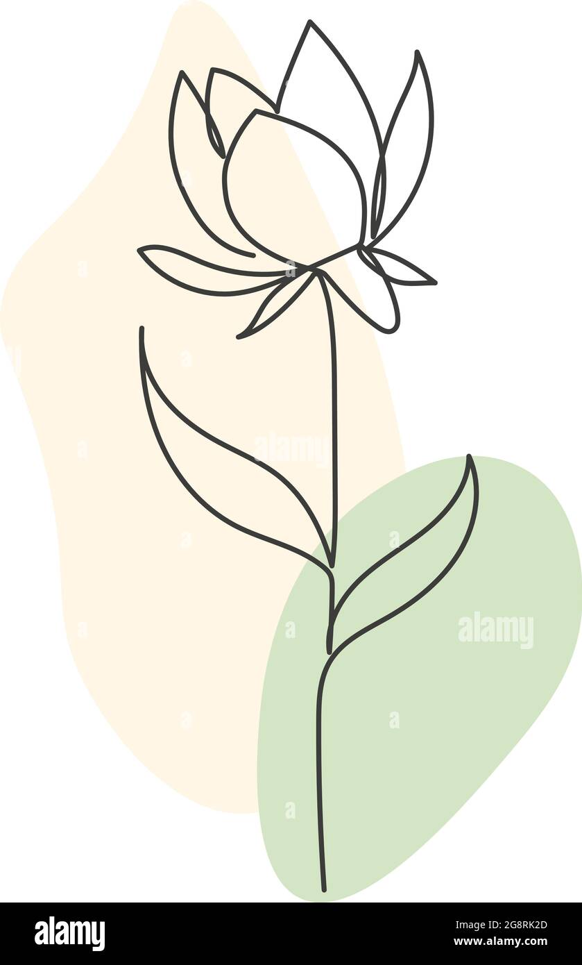 Eine Pflanze, die in einem Vektor durch eine kontinuierliche Linie gezeichnet wird. Stock Vektor