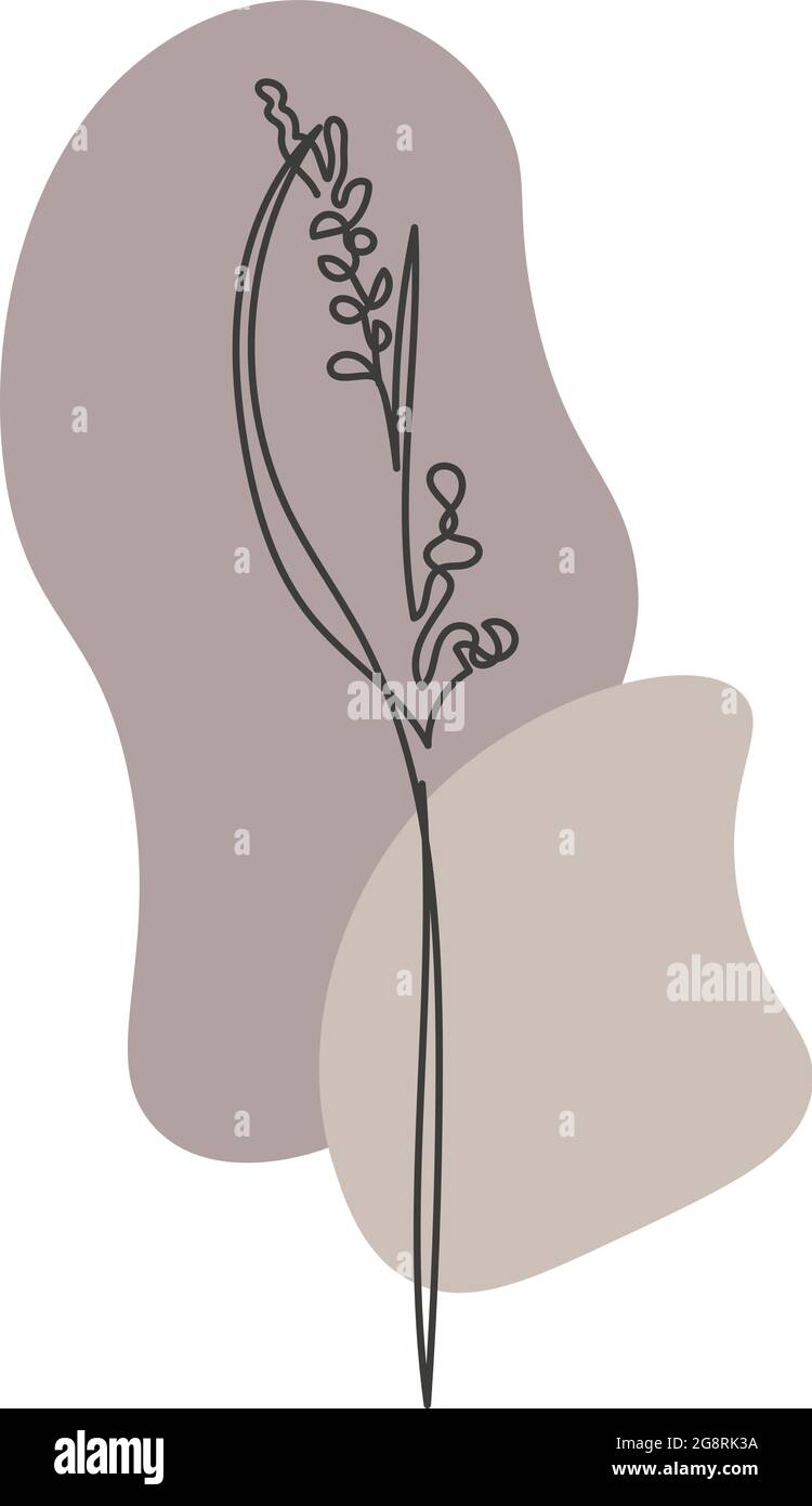 Eine Pflanze, die in einem Vektor durch eine kontinuierliche Linie gezeichnet wird. Stock Vektor