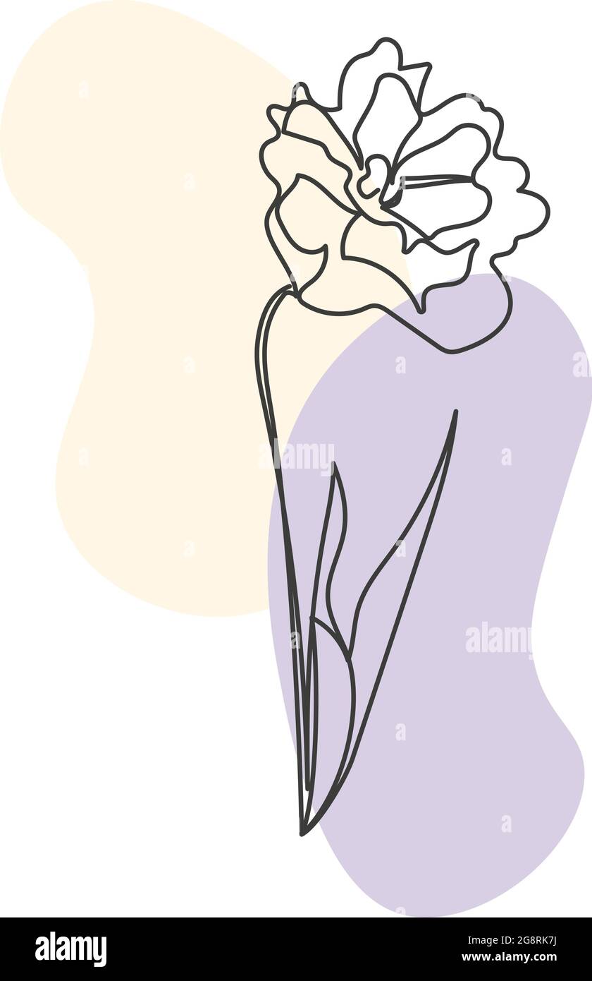 Eine Pflanze, die in einem Vektor durch eine kontinuierliche Linie gezeichnet wird. Stock Vektor