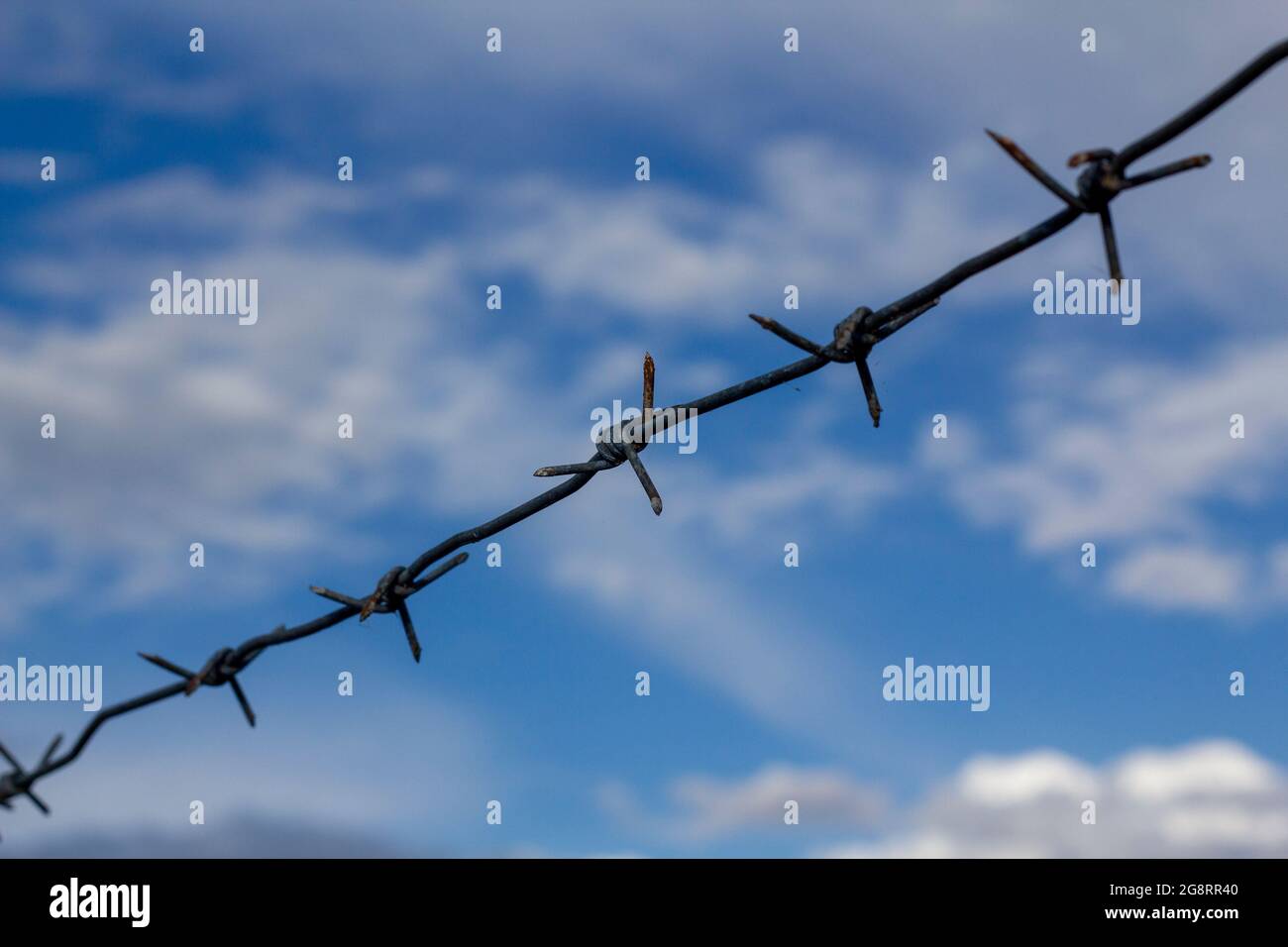 Stacheldraht auf einem Hintergrund von blauem Himmel mit Wolken. Einschränkung der Freiheiten. Probleme von Migranten. Soziale Probleme. Stockfoto