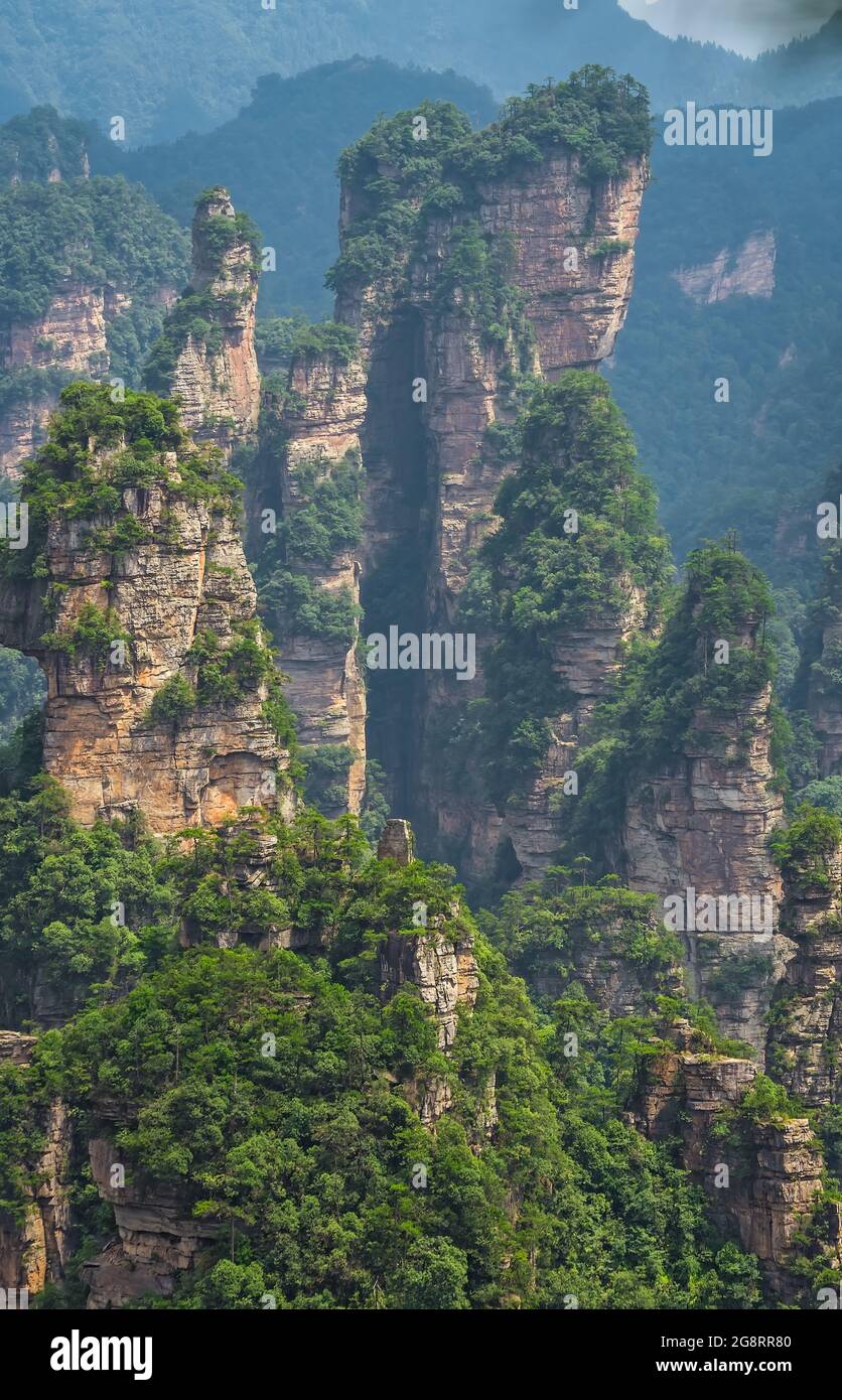 Vertikale Karstsäulen Felsformationen aus der Sicht der Enchanted Terrasse, Avatar Berge Naturpark, Zhangjiajie, China Stockfoto