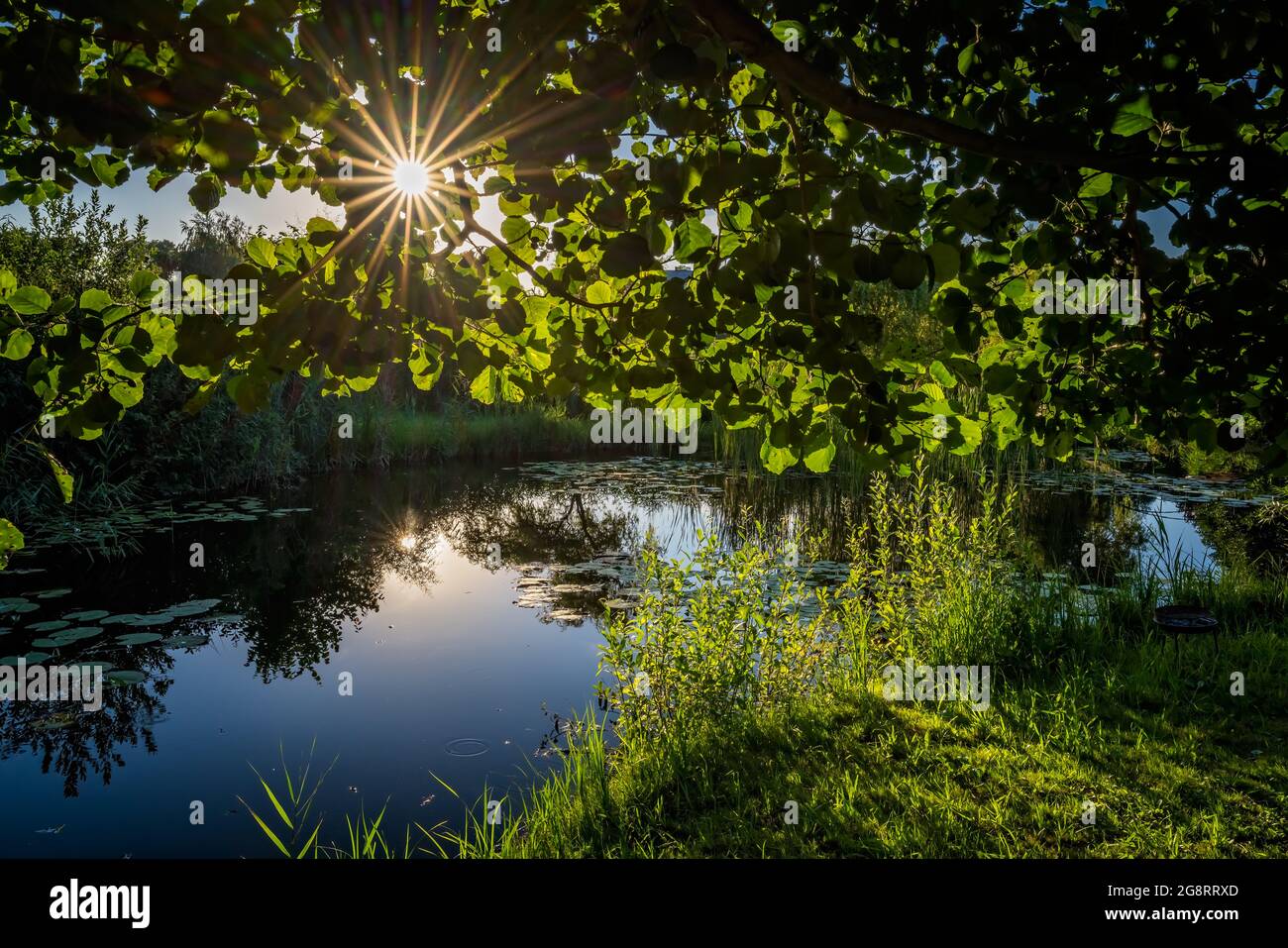 Sonne scheint über kleinen Teich an einem ruhigen Tag im Sommer, idyllische Lage für Ruhe und Chillout Stockfoto