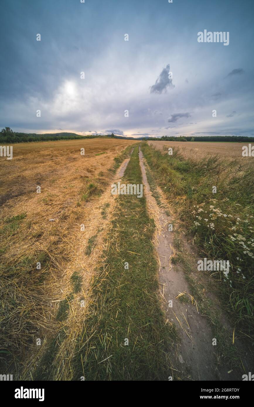 Panoramaaufnahme einer Fahrbahn, die durch ein gelbes trockenes Feld auf bewölktem Himmel zum Horizont führt Stockfoto