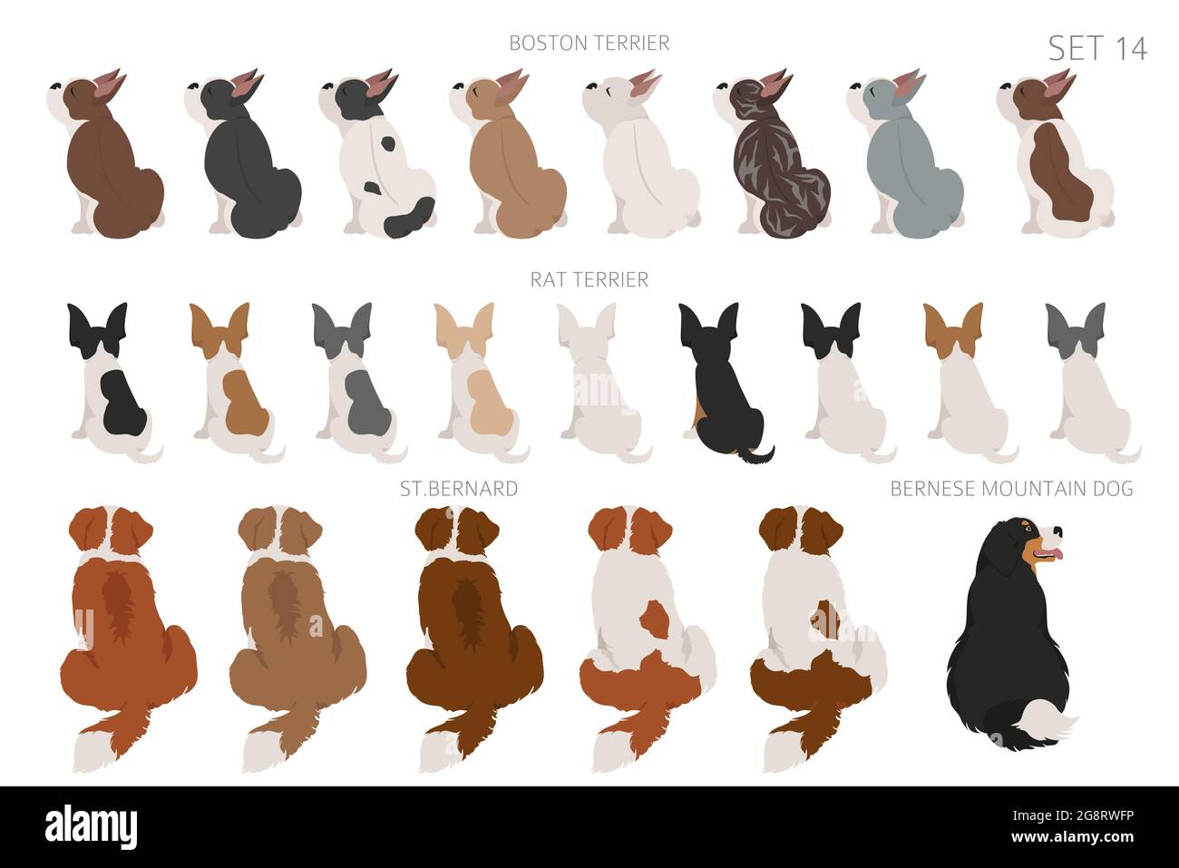 Sitzende Hunde, hintere Cliparts, Rückansicht. Verschiedene Fellfarben. PET-Grafik-Design für Hundefreunde. Vektorgrafik Stock Vektor