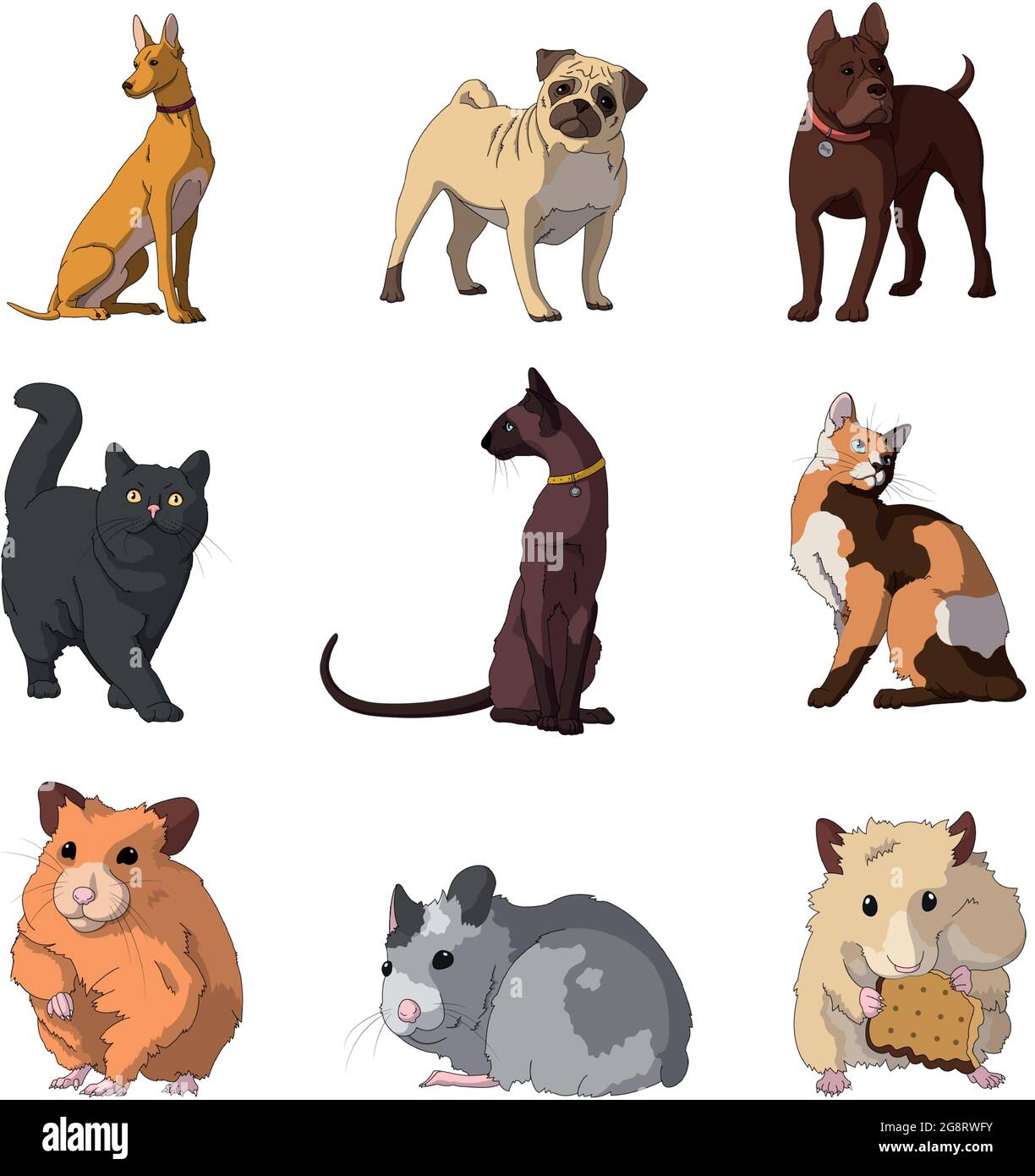 Rasse von realistischen Haustieren Katzen, Hunde und Hamster - Vektor-Illustration Stock Vektor