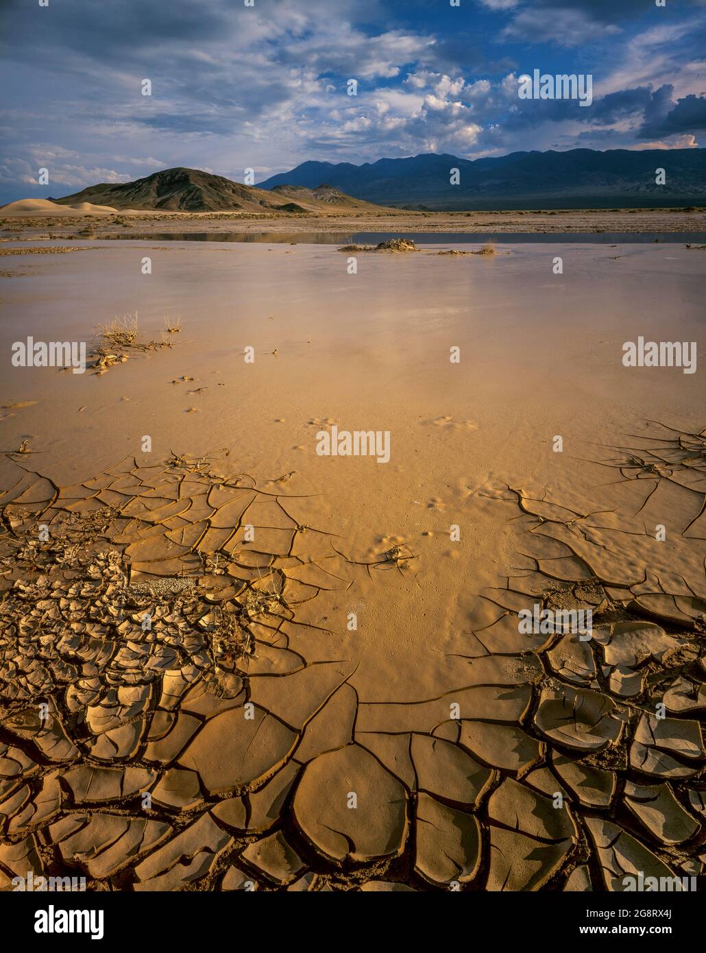 Amargosa River, Saratoga Springs, Avawatz Berge, Death Valley National Park, Kalifornien Stockfoto