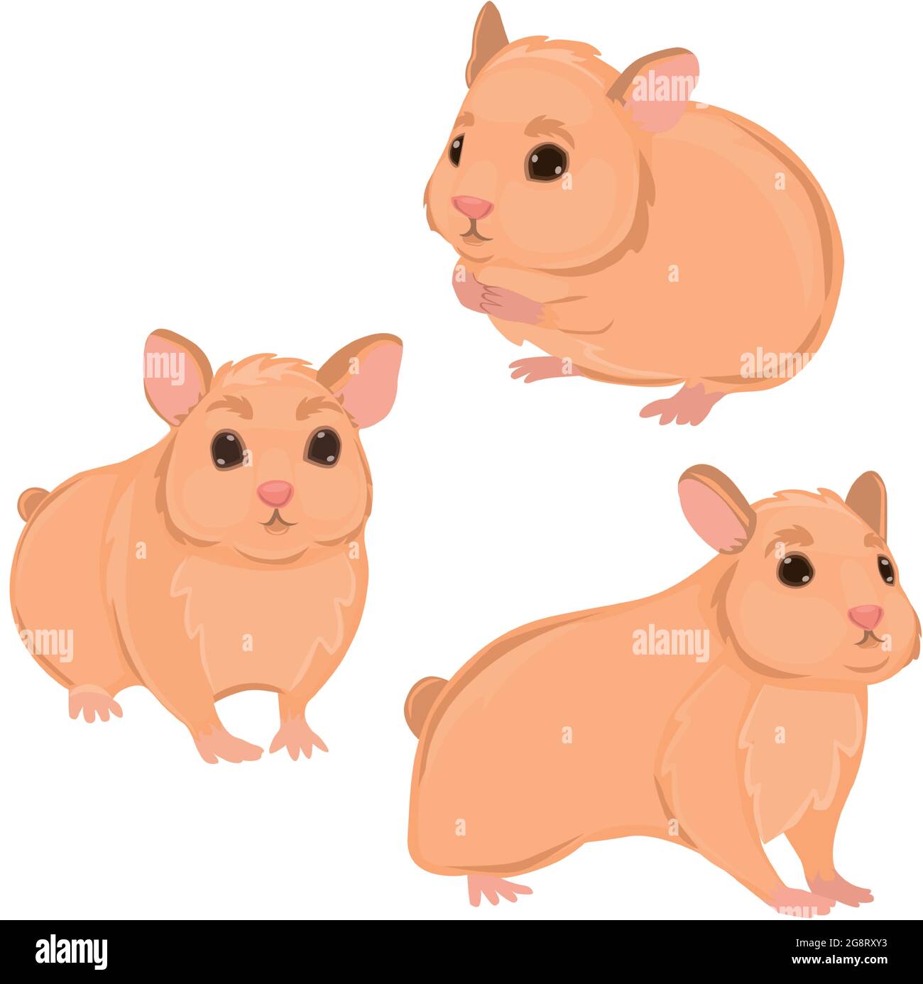 Drei realistische Hamster auf weißem Hintergrund - Vektor-Illustration Stock Vektor