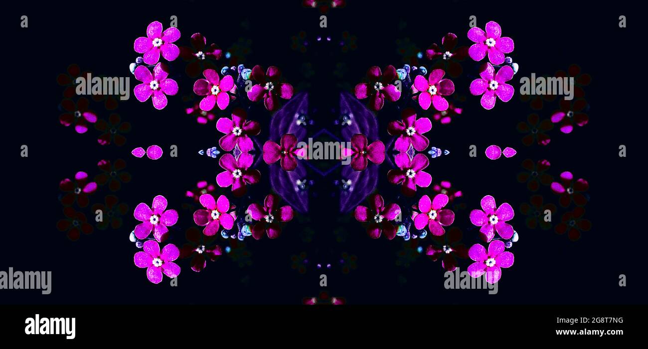 Verspiegelte rosa Blüten Kaleidoskop Stockfoto